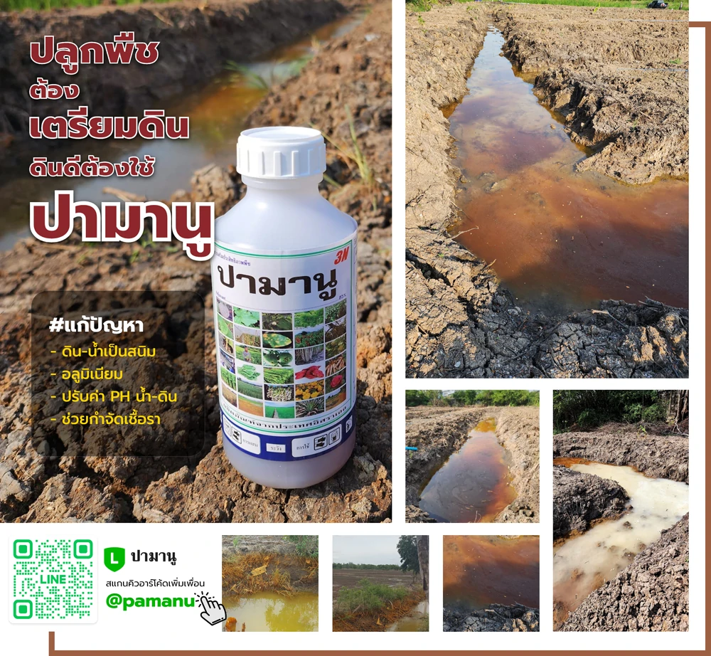 ปามานู แก้ปัญหาดิน - น้ำเป็นสนิม – อลูมิเนียม ปรับค่า PH กำจัดเชื้อรา